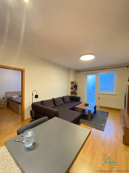 Obývací pokoj v 2-pokojovém bytě s pohovkou a podlahou s dřevěným dekorem.