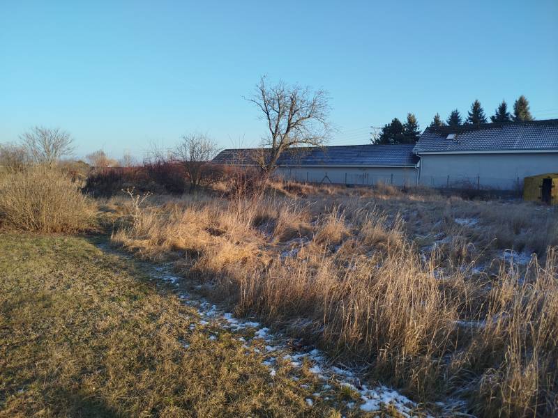 Pozemky pro bydlení na Hodské ulici v Galantě s travnatým porostem a několika keři.