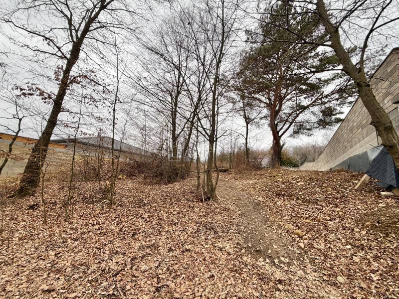 Pozemek na bydlení ve Velké Bytči je pokrytý listím a obklopený stromy.