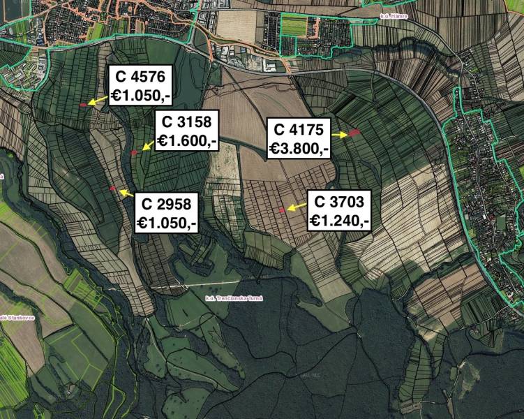 Letecká mapa zemědělských a lesních pozemků v okolí Trenčianské Turné s cenami parcel.