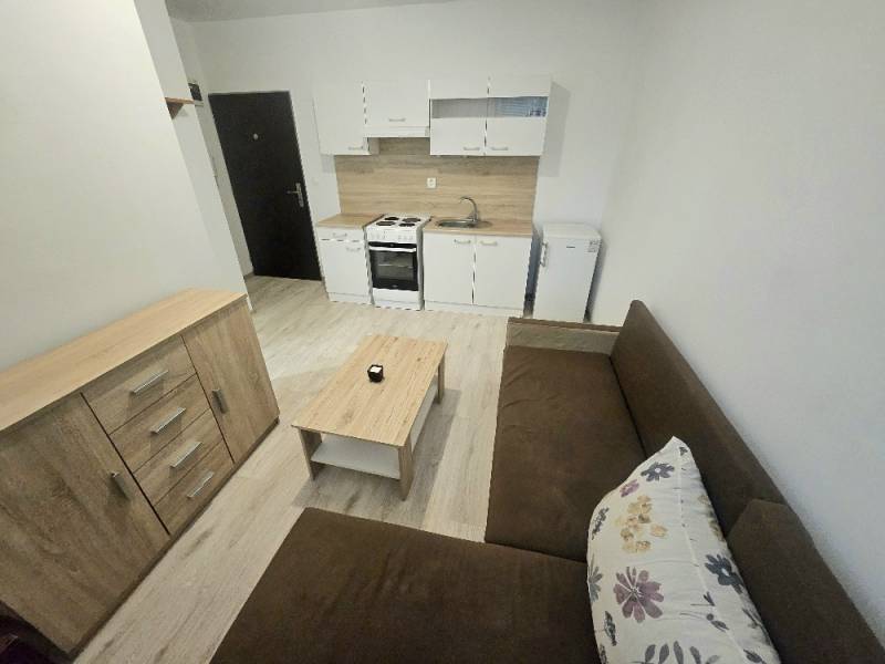 Kuchyňská část 1pokojového bytu s podlahou s dřevěným dekorem a pohovkou.