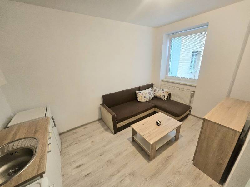 Obývací pokoj v 1-pokojovém bytě s pohovkou, kuchyňským koutem a podlahou s dřevěným dekorem.