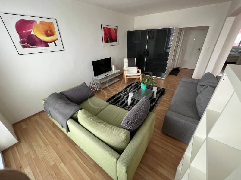 Obývací pokoj v 2-pokojovém bytě s pohovkou, televizí a obrazy na stěnách.