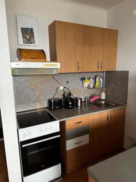 Kuchyně v 1-pokojovém bytě s kuchyňskou linkou a spotřebiči, podlaha s dřevěným dekorem.