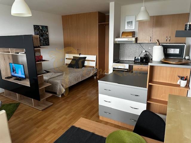 Interiér 1-pokojového bytu s podlahou s dřevěným dekorem, postelí a televizí.