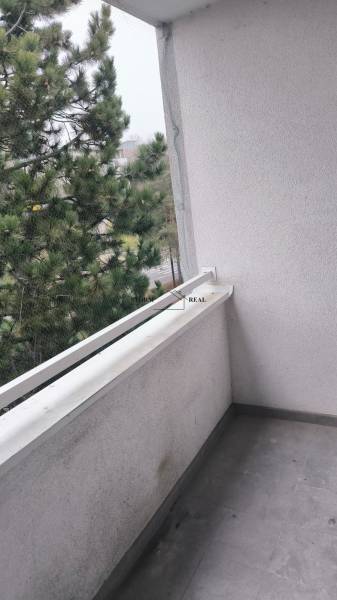 Balkon se stromy a sítí proti ptákům ve 4pokojovém bytě na Janotově ulici.