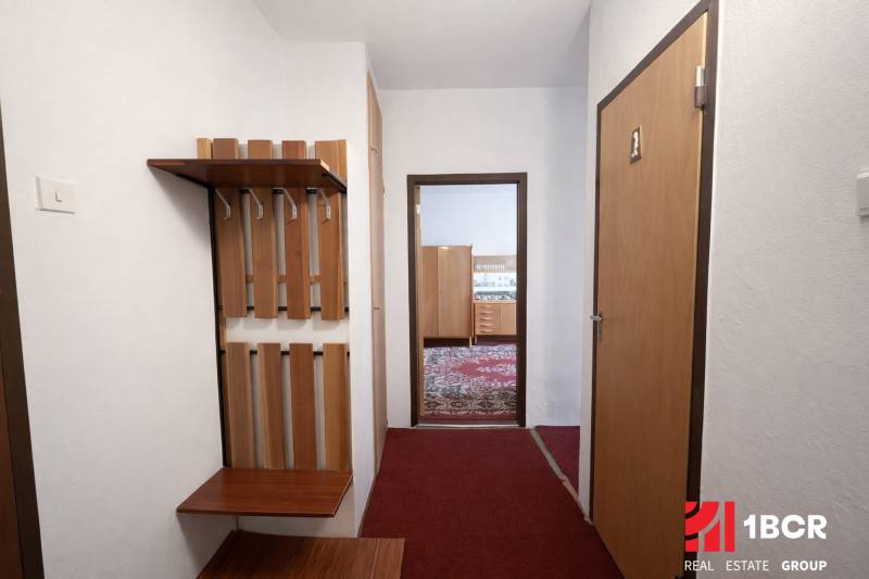 Chodba 1-pokojového bytu s věšákovou stěnou a pohledem do pokoje s kobercem.