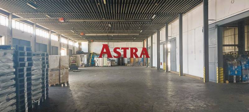 Sklady a haly s paletami a zbožím připraveným k distribuci.