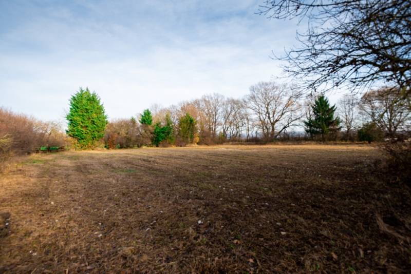 Pozemky - komerční v Stupavě, ulice Stupava. Zasněžené stromy na rozlehlé louce.