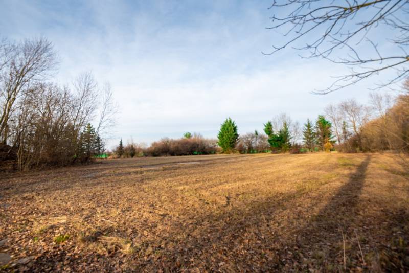 Pozemky - komerční ve Stupavě na ulici Stupava, otevřené prostranství s okolními stromy.