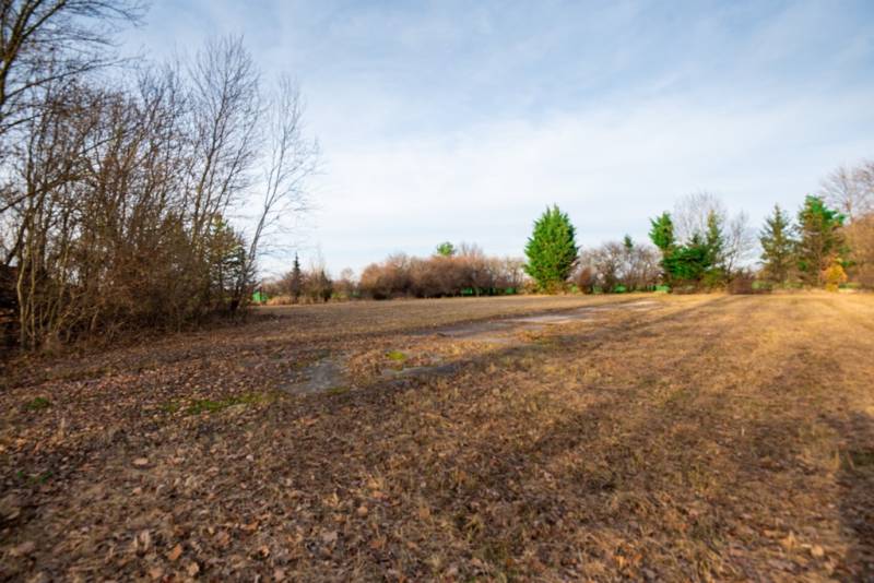 Pozemky - komerční v Stupavě na ulici Stupava, zarostlé stromy a trávou.
