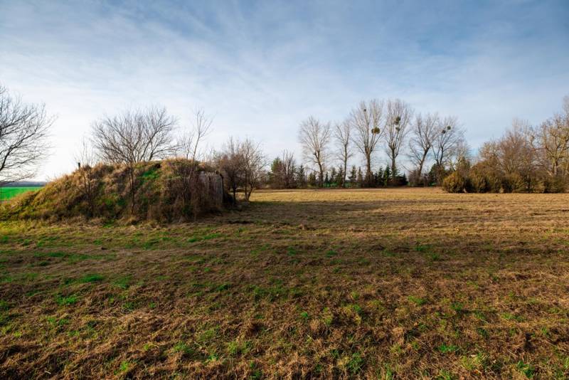 Travnatý komerční pozemek na ulici ve Stupavě se stromy a keřem v pozadí.