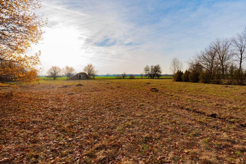 Komerční pozemky ve Stupavě na Stupavě s podzimní krajinou a stromy.