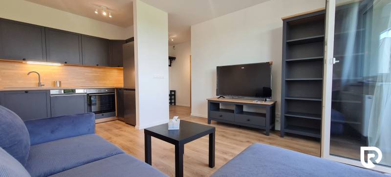 2-pokojový byt s kuchyňskou linkou, modrou pohovkou, televizorem a podlahou s dřevěným dekorem.