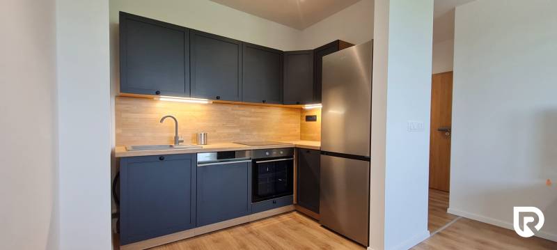 Kuchyně v 2pokojovém bytě s tmavě šedými skříňkami, dřevěným dekorem a nerezovými spotřebiči.