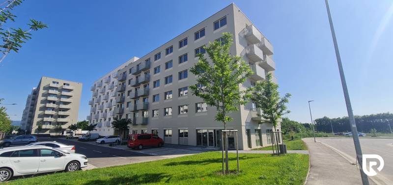 Bytové domy s balkóny, stromy a zaparkovaná auta na Ivanské cestě, Bratislava - Ružinov.