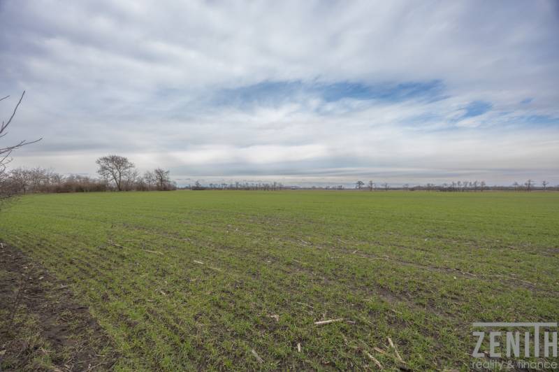 Pozemky na bydlení v Jatově, na ulici Jatov s rozlehlým zeleným polem a oblaky.