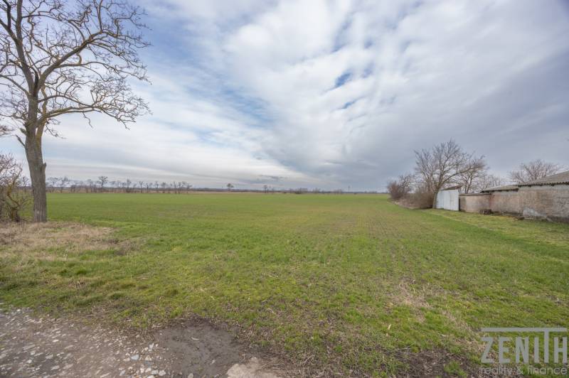 Zelený pozemek na bydlení v Jatově na ulici Jatov s holými stromy.