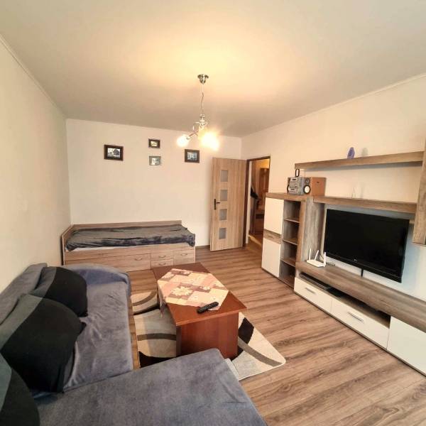 Obývací pokoj s podlahou s dřevěným dekorem v 2-pokojovém bytě, pohovka a televizor.