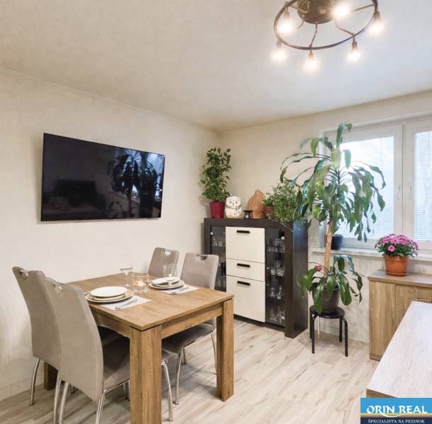 Jídelna v rodinném domě s televizorem, jídelním stolem a pokojovými rostlinami.