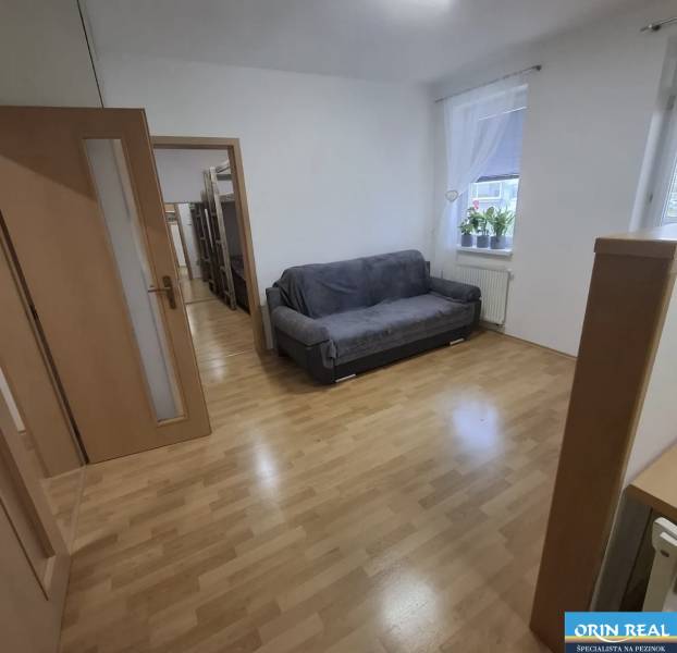 Obývací pokoj v 2pokojovém bytě s podlahou s dřevěným dekorem a pohovkou.