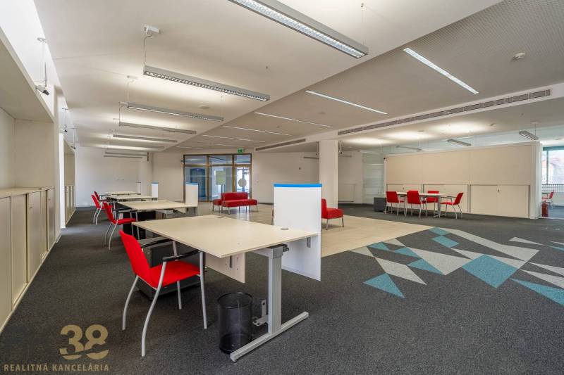 Interiér kanceláří s červenými židlemi a kobercovou dekorací na podlaze.