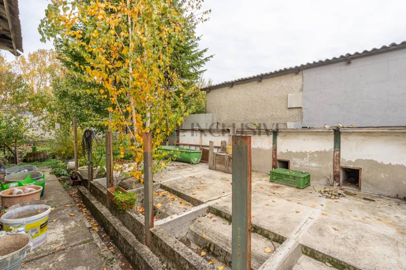 Podzimní zahrada u rodinného domu ve Velkých Dvorníkách s barevným listím na stromech.