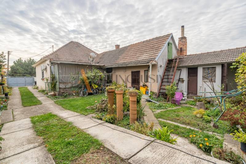 Dvůr rodinného domu ve Velkých Dvorníkách s trávníkem, rostlinami a budovami.