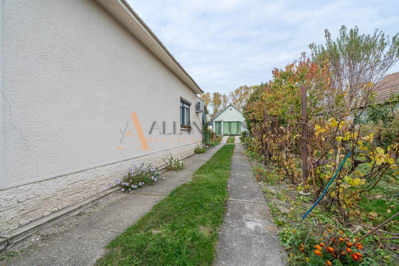 Chodník vede podél rodinného domu ve Velkých Dvorníkách se zahradou plnou rostlin.