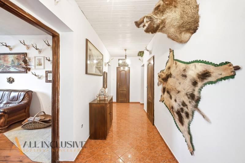 A7400005 (1) (1).jpg