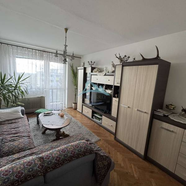 Obývací pokoj ve 4pokojovém bytě s koberci, rostlinami a podlahou s dřevěným dekorem.