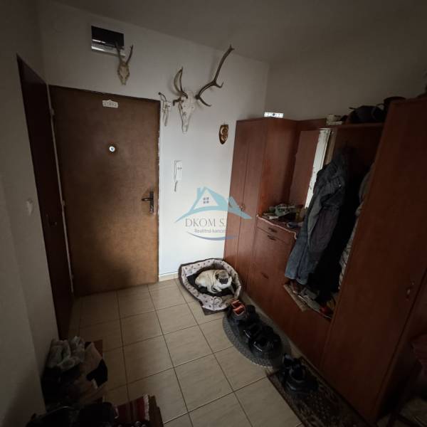 Předsíň ve 4-pokojovém bytě s věšáky, psím pelíškem a dekorativními parožím na stěně.