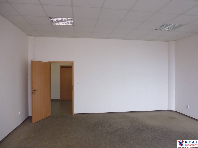 Bílá místnost v kanceláři s otevřenými dřevěnými dveřmi a kobercem na podlaze.