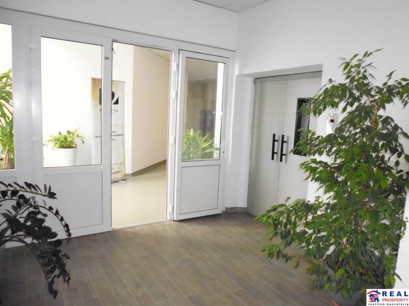 Kanceláře s bílými dveřmi a květináči. Podlaha s dřevěným dekorem.