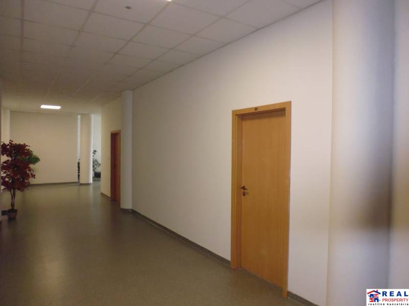 Chodba v kanceláři se světlou podlahou, bílými stěnami a dveřmi s dřevěným dekorem.