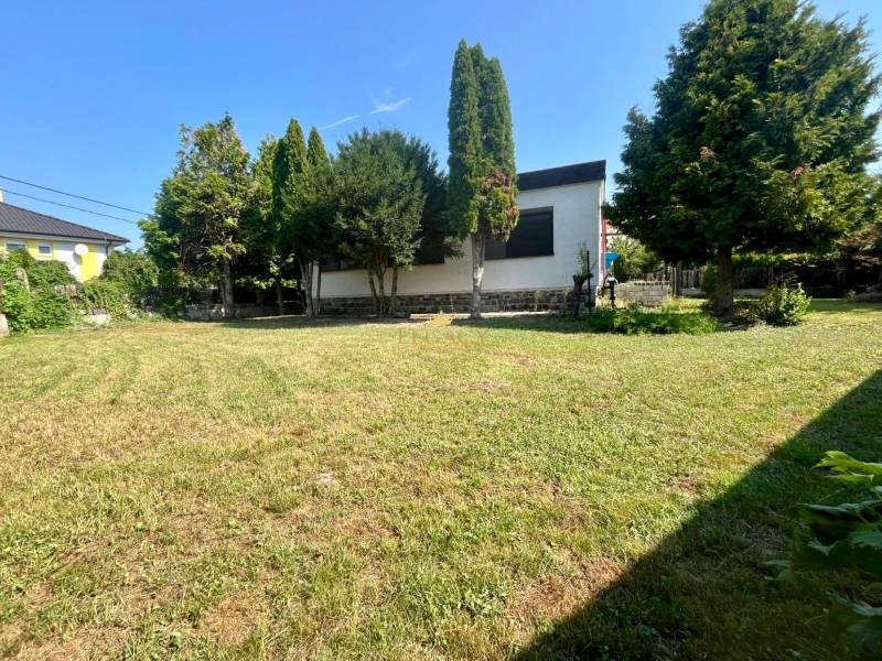 Rodinný dům v Ivance pri Dunaji obklopený zahradou s jehličnatými stromy.