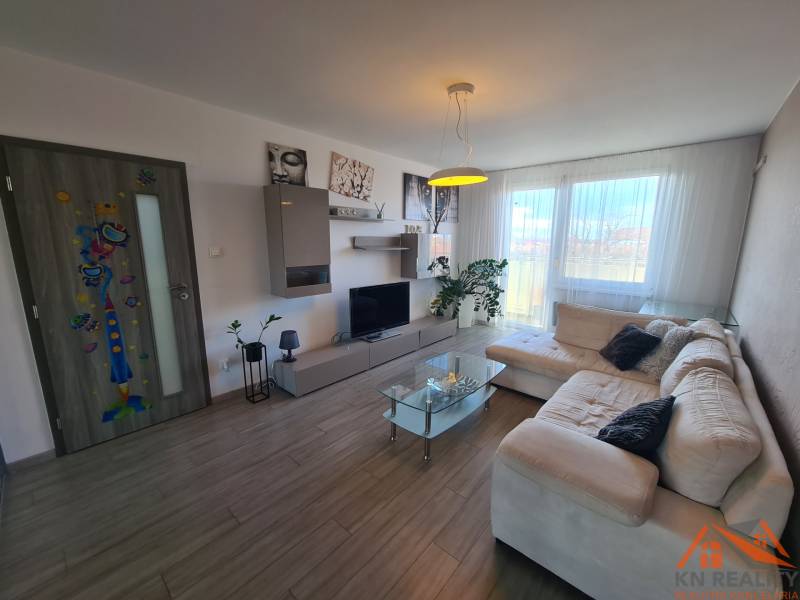 Obývací pokoj v dvoupokojovém bytě s podlahou s dřevěným dekorem a prostornou pohovkou.