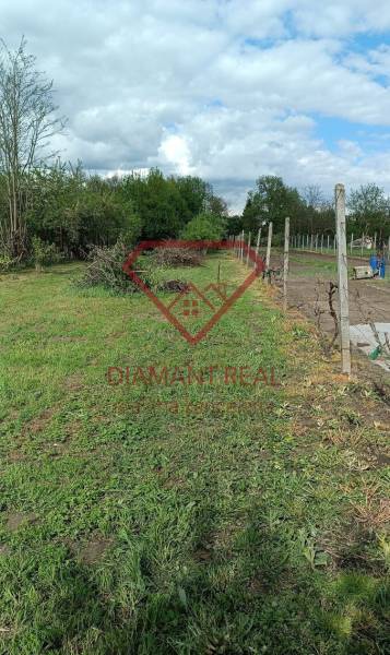 Pozemek u rodinného domu na Salibské ulici v Horních Salibách s travnatou plochou a zahradou.