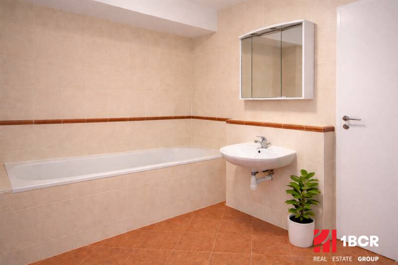 Koupelna s vanou a umyvadlem v 2-pokojovém bytě, doplněná zelenou rostlinou.