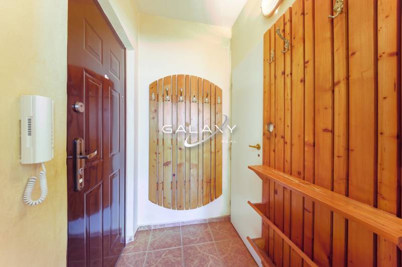 Chodba v 1-pokojovém bytě s dřevěným obkladem a tmavě hnědými dveřmi.