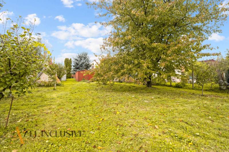 6 - 2025-10-14T130844.266.jpg