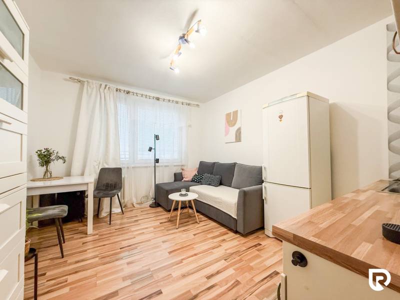 Garsonka s podlahou s dřevěným dekorem, šedou sedačkou a bílou lednicí.