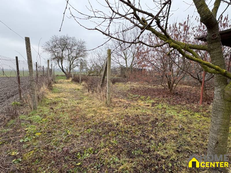 Zahrada u rodinného domu ve Zlatné na Ostrově s ovocnými stromy a oplocením.