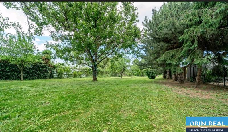 Zeleň a stromy na pozemku k bydlení v Bernolákově na Okružní.