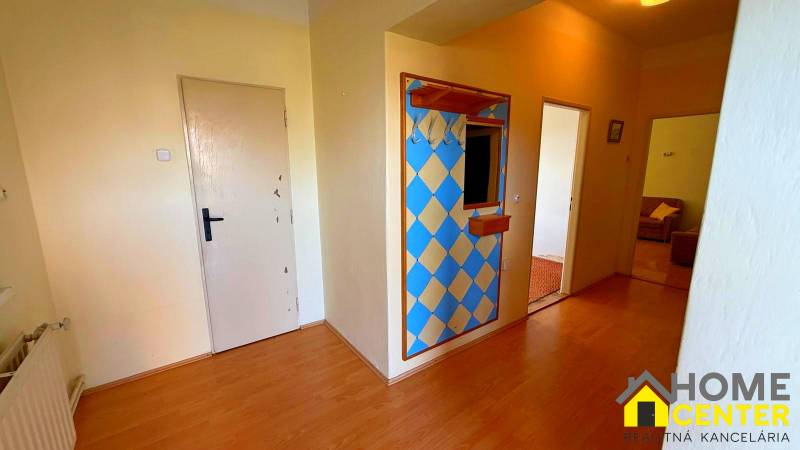 Chodba v rodinném domě s barevnou stěnou a podlahou s dřevěným dekorem.