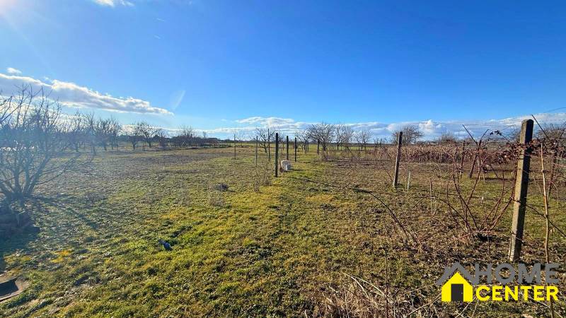 Pozemek u rodinného domu v Iži s ovocnými stromy a vinicí během slunečného dne.