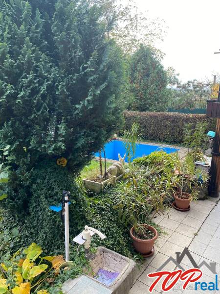 Zahrada chaty v Košicích - městské části Vyšné Opátske s bazénem a rostlinami.