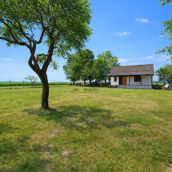 Chata v Obeckově na velké travnaté ploše se stromem a modrou oblohou.