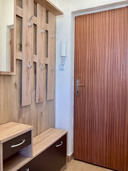 Vstupní chodba v 1-pokojovém bytě s věšákovou stěnou a dřevěným dekorem.