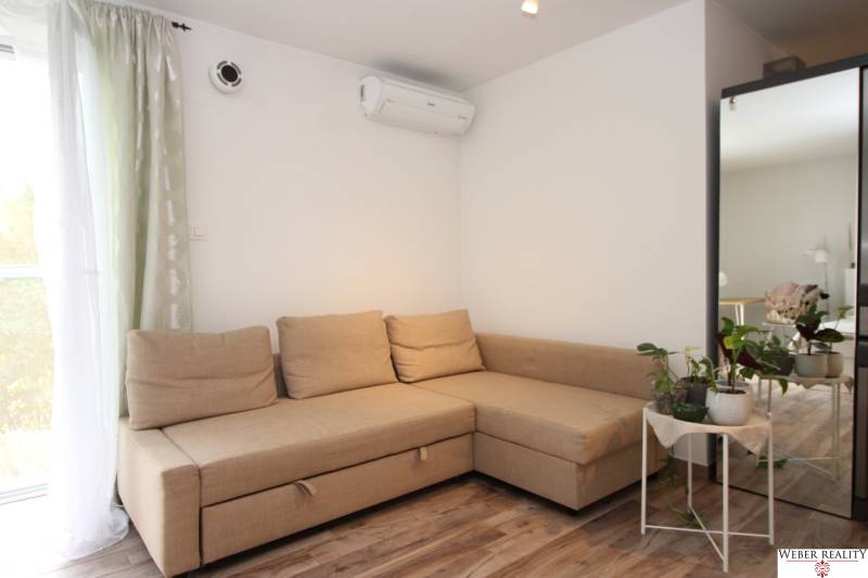 Pohovka v 1-pokojovém bytě s květinami, zrcadlem a podlahou s dřevěným dekorem.